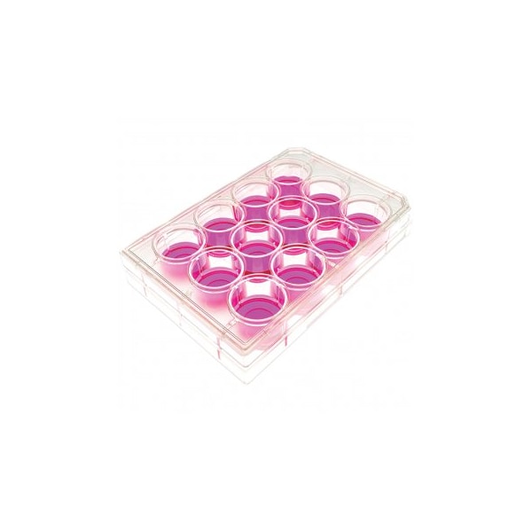 Biologix Usa Cell Culture Plates, 12 Well, 50PK 141373 - main